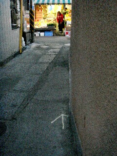 in-kyoへ。_f0121167_14444255.jpg