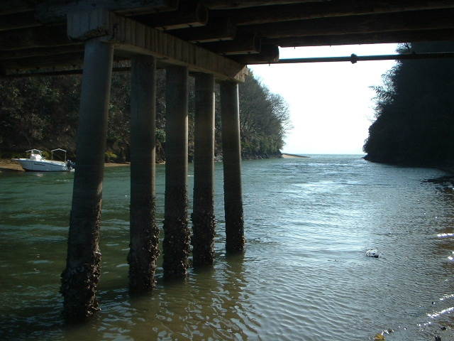 e0060485_08577.jpg
