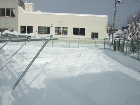 f0077697_17444466.jpg