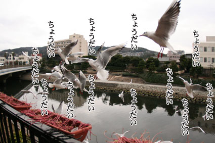 e0072606_1934209.jpg