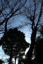 a0068424_10924.jpg