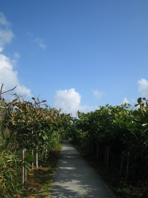f0107724_2120217.jpg