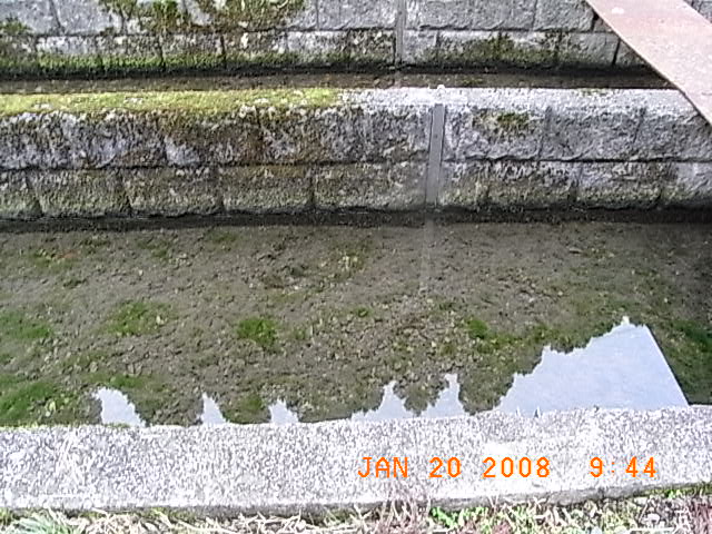 f0032125_20243656.jpg