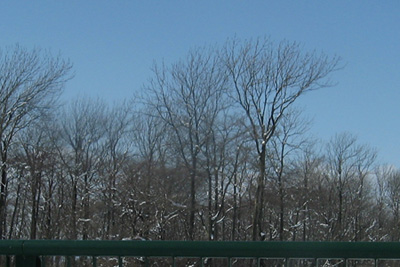 c0024729_15467.jpg