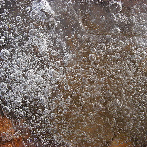 c0067040_22583860.jpg