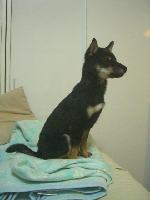e0025240_20235884.jpg