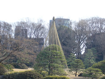 f0130642_18125121.jpg