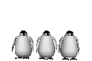 c0119160_7152775.gif