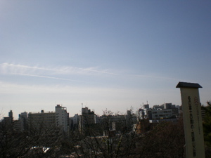 西郷山公園_c0133561_1333993.jpg