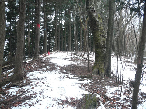 2008/01/20　残念！樹氷なしの三峰山_e0050472_22524738.jpg