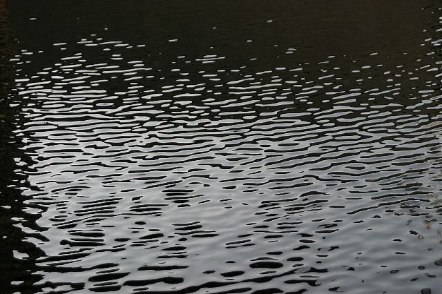 f0127675_5272345.jpg