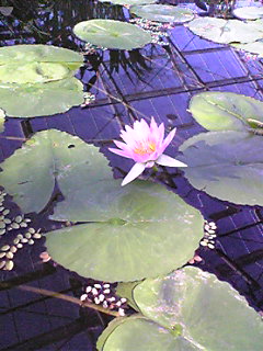 f0124177_23593178.jpg