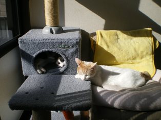 c0109090_128338.jpg