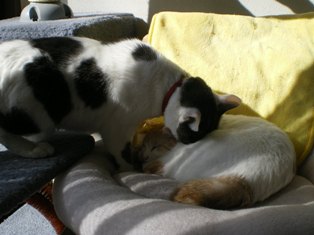 c0109090_128998.jpg