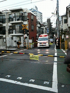 代田三土代会・餅つき_c0092197_22403449.jpg