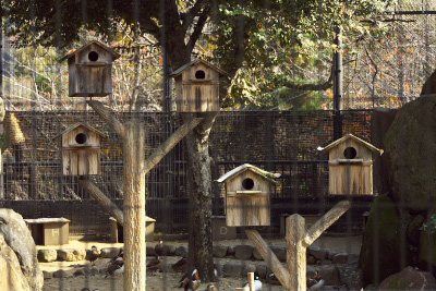 京都紀行　番外編　～　京都市動物園_f0003598_17525298.jpg