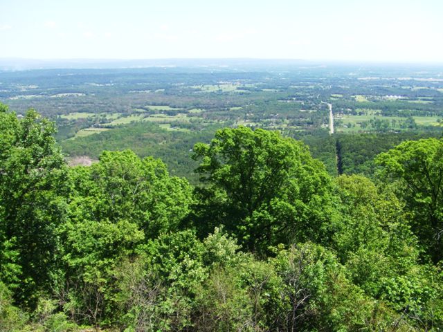 c0062603_47796.jpg