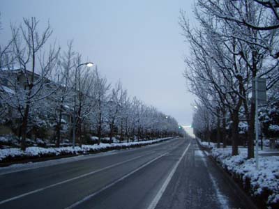 e0062214_13414871.jpg