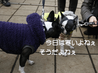 e0080117_21462234.gif