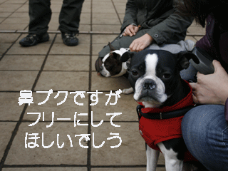 e0080117_22112734.gif