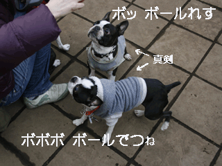 e0080117_2245052.gif