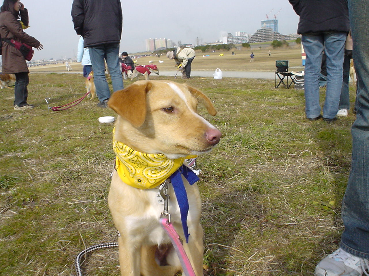 c0150520_04764.jpg