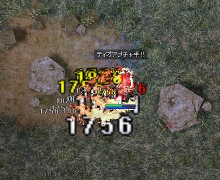 a0058124_2544569.jpg