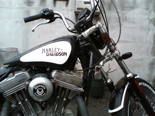 c0006028_11224314.gif