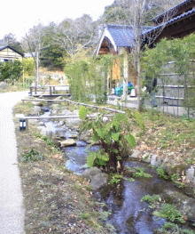 f0063944_1459197.gif