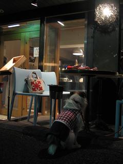 c0156345_00328.jpg