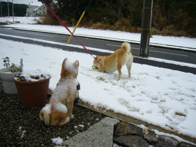 １月２１日（月）雪と愛ちゃん！_f0060461_10334960.jpg