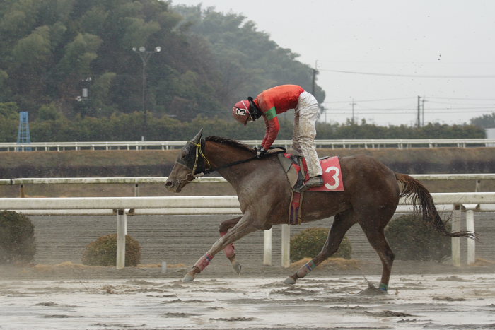 伊藤千尋騎手、期間限定騎乗5勝目~_a0077663_1944165.jpg