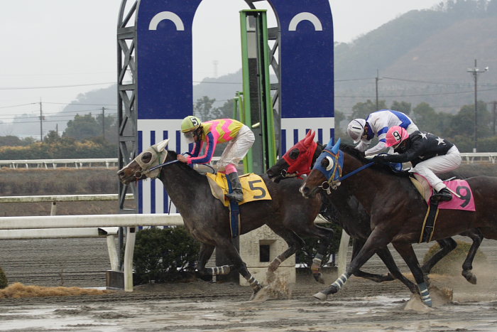 伊藤千尋騎手、期間限定騎乗5勝目~_a0077663_1944552.jpg