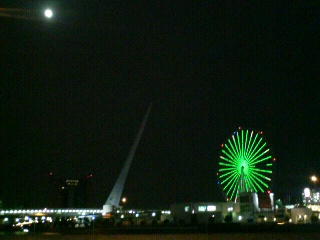 ことし一番の冷え込み_b0116271_17523325.jpg
