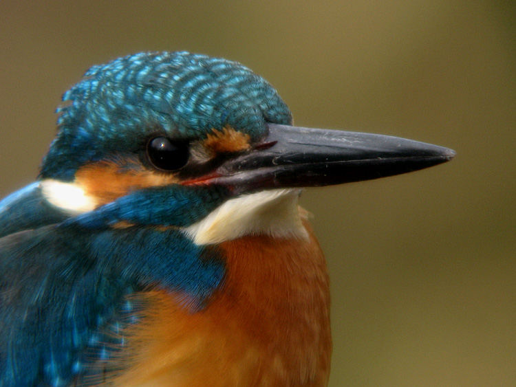 a0035279_738164.jpg