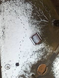 d0077483_22163881.jpg