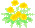 c0145889_9432791.gif