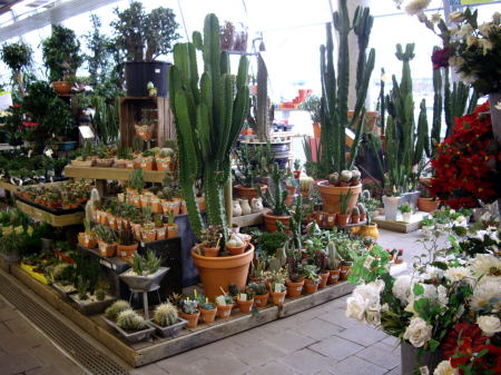 c0090198_3243450.jpg