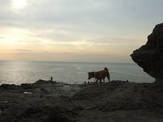 d0143214_23245923.jpg