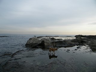 d0143214_23254129.jpg