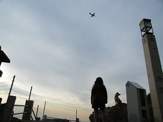 d0143214_23287100.jpg