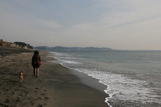 d0143214_235579.jpg