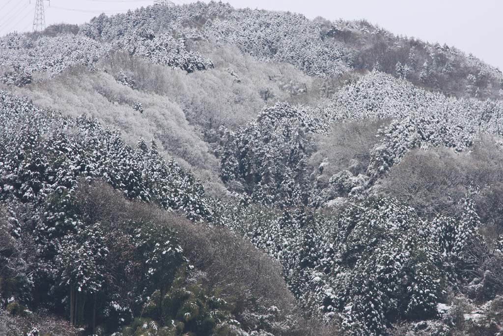 雪景色（撃沈・・）_d0085715_015934.jpg