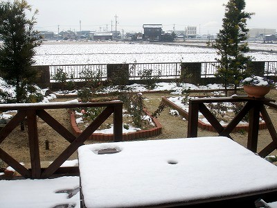 e0072023_2030490.jpg