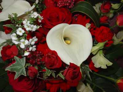 d0111435_1835567.jpg