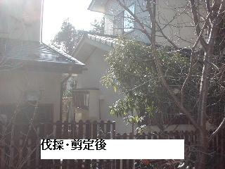f0031037_17124724.jpg
