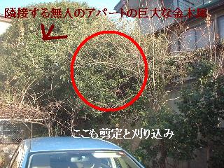 f0031037_17131843.jpg