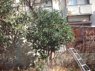 f0031037_17133063.jpg