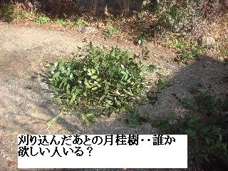 f0031037_17134258.jpg