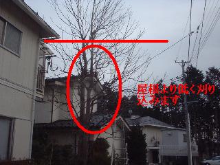 f0031037_17142368.jpg